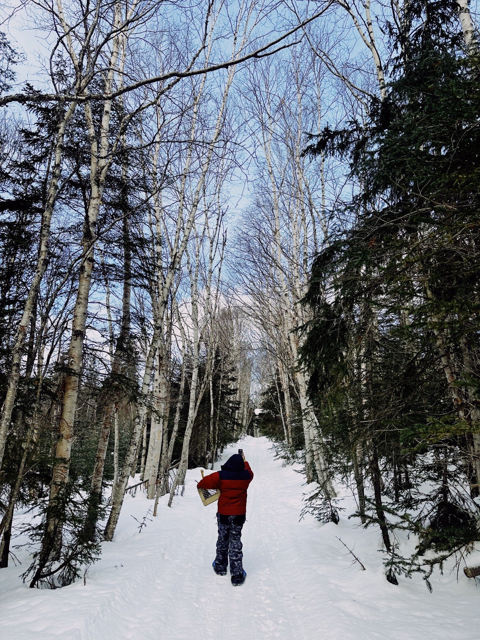 A person dressed in a red jacket and camouflage pants walking through a snow-covered forest trail, carrying a basket in their right hand and taking a photo with a phone in their left hand. The trail is lined with leafless trees and evergreen trees on either side, leading to a clear sky.