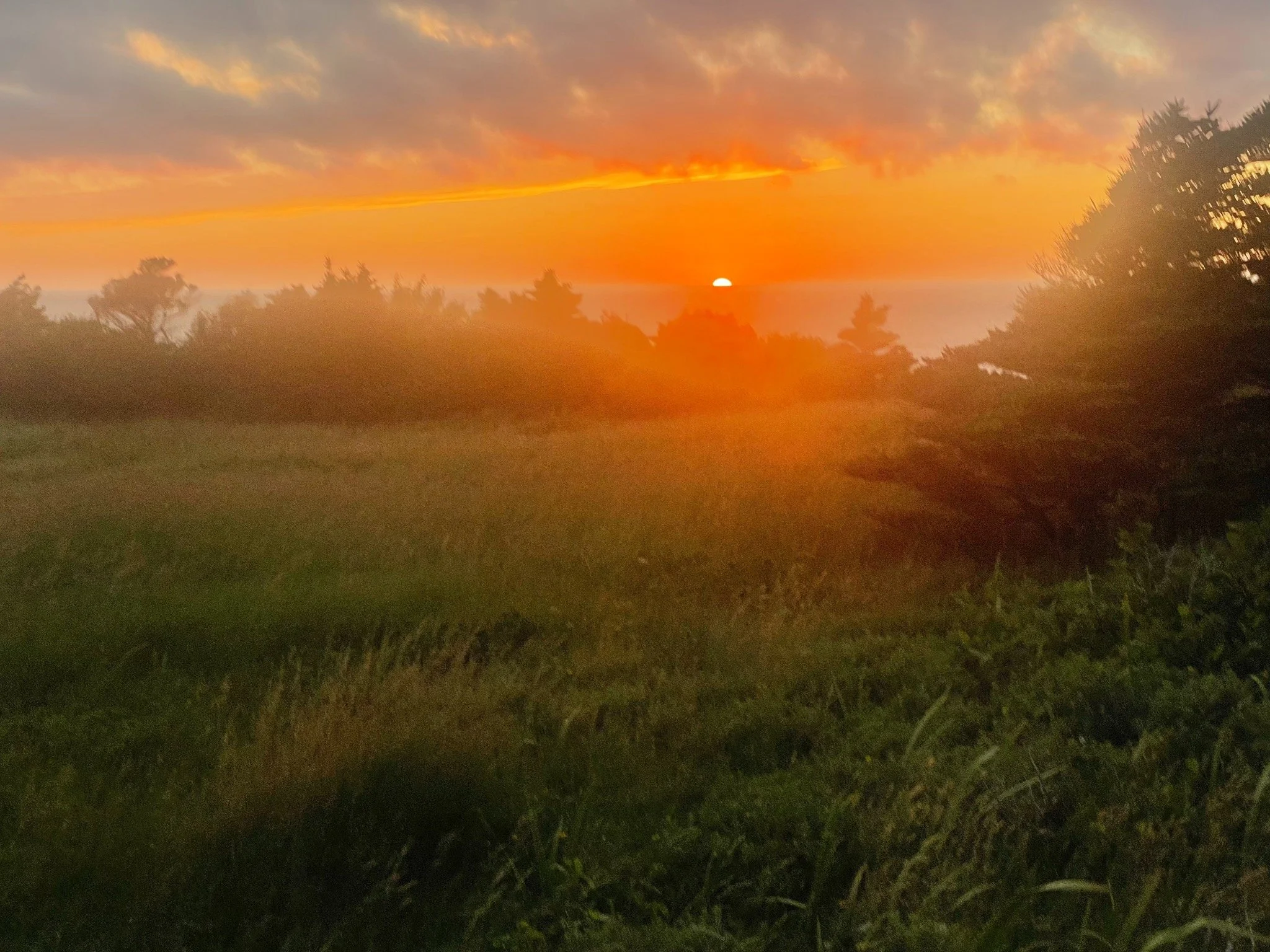 A sunset over the horizon with the sun partially visible, casting orange and yellow colors in the sky. Silhouettes of trees and grass in the foreground.