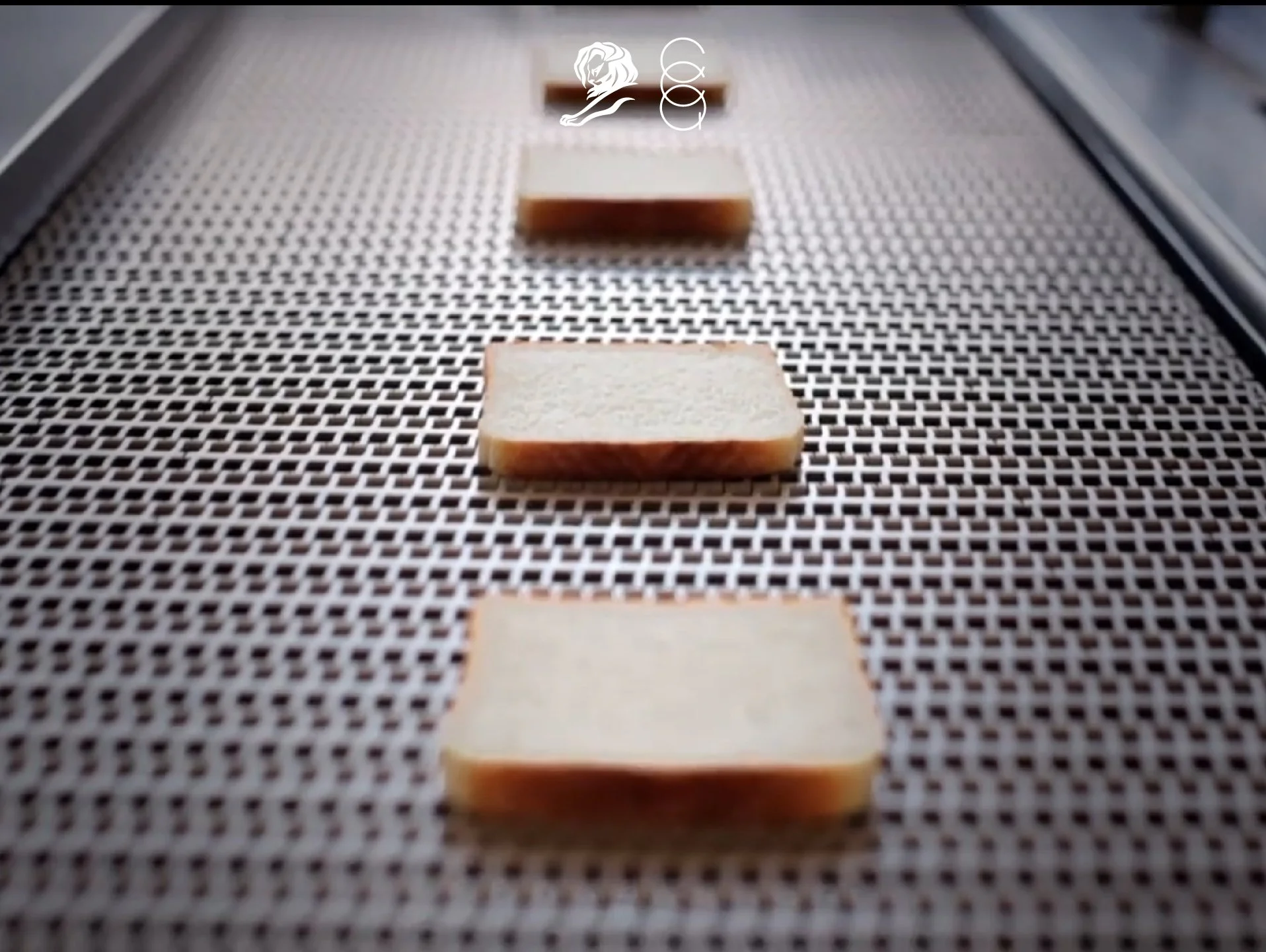 Eco Sponge