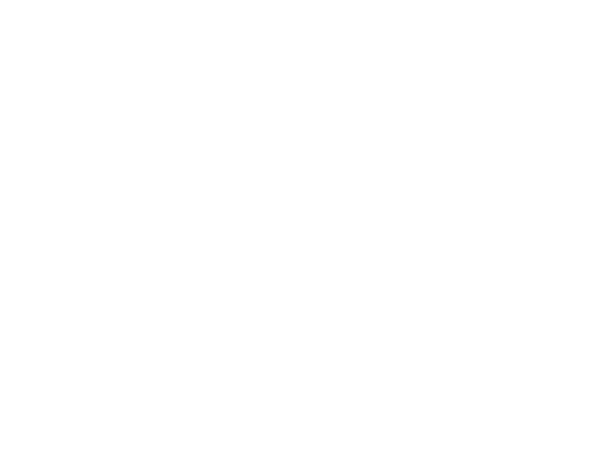 Designer Fluff logo white.png