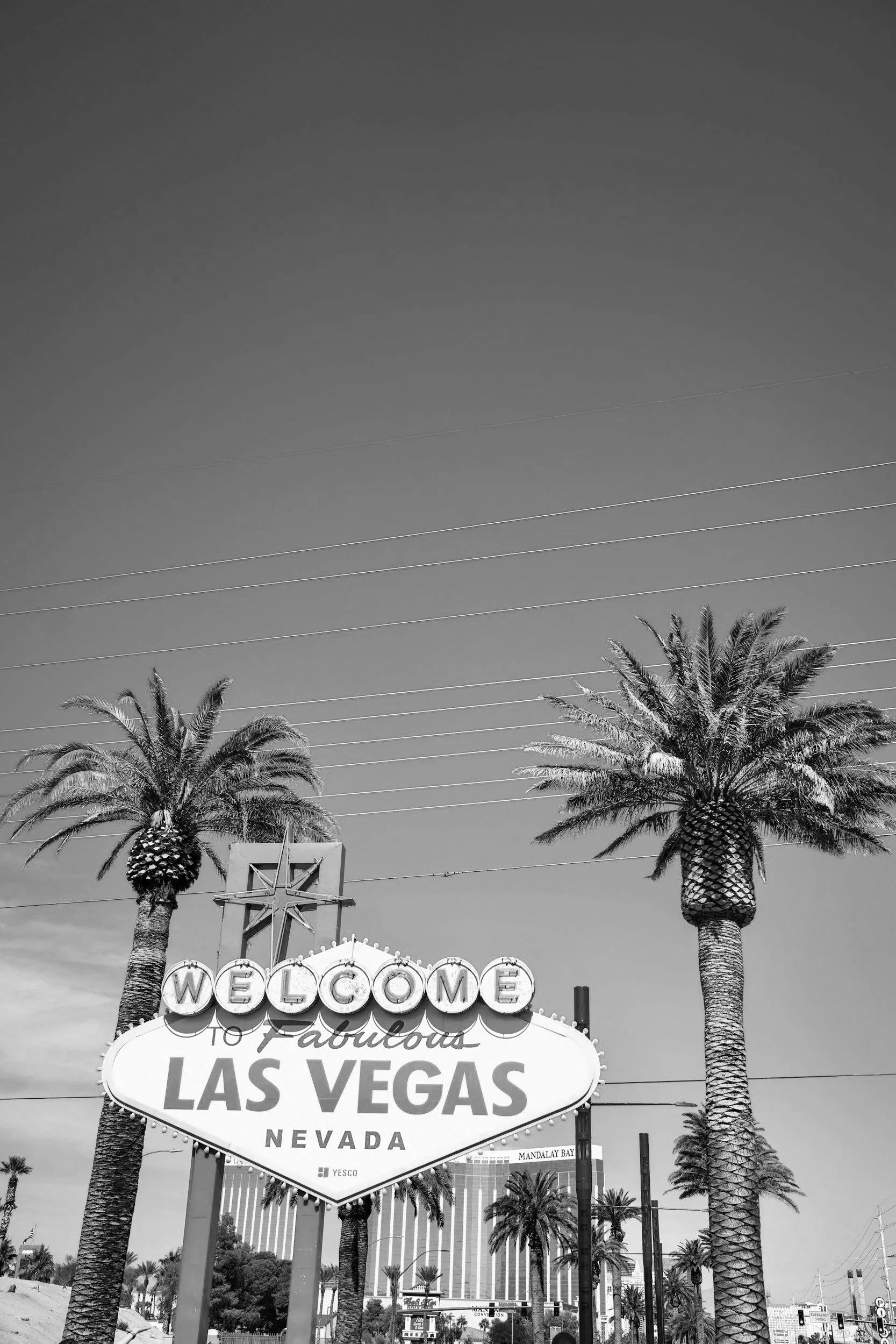 Black and white photo of the Las Vegas welcome sign with palm trees in the background and power lines above.