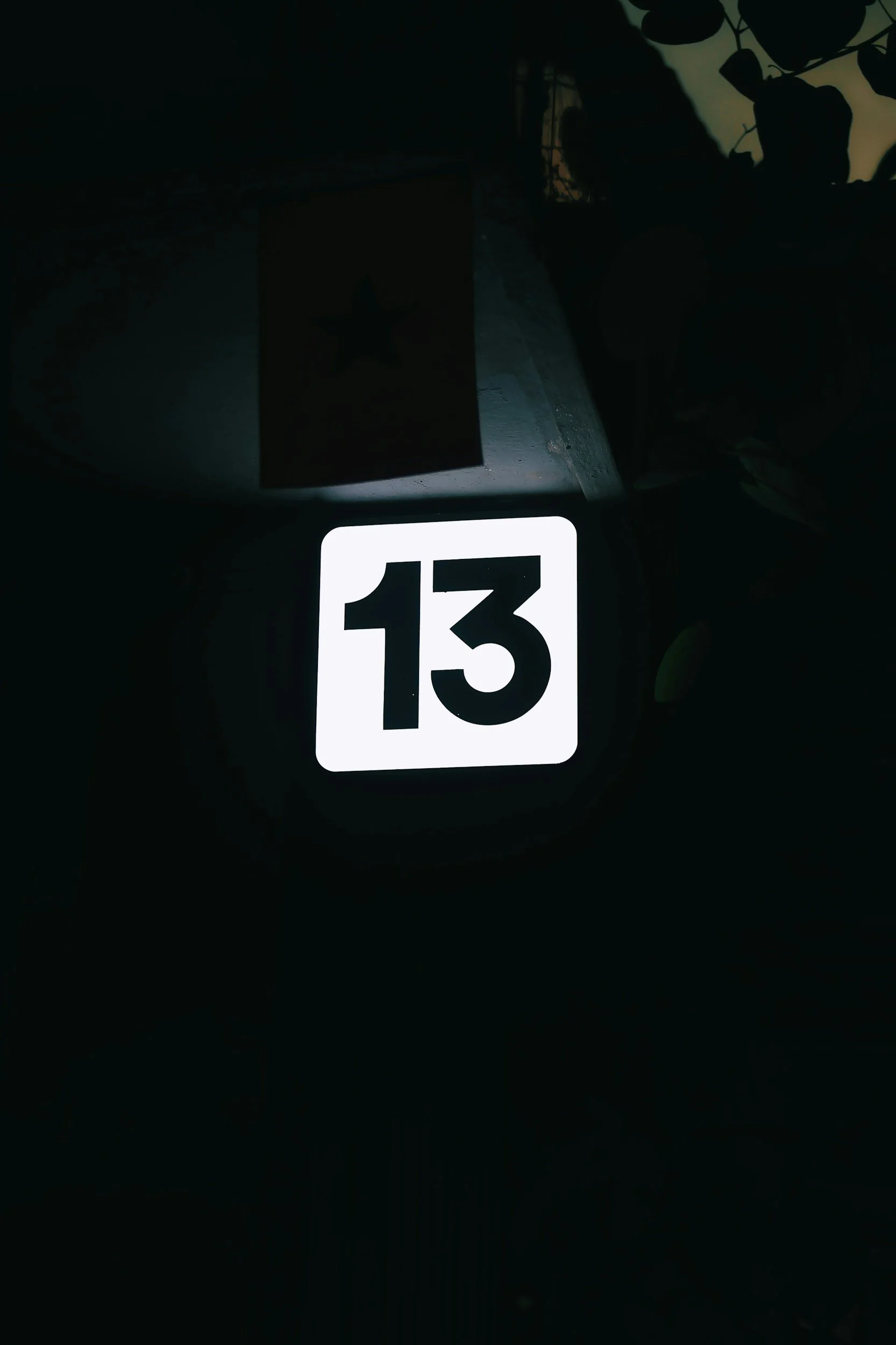 13 Paths