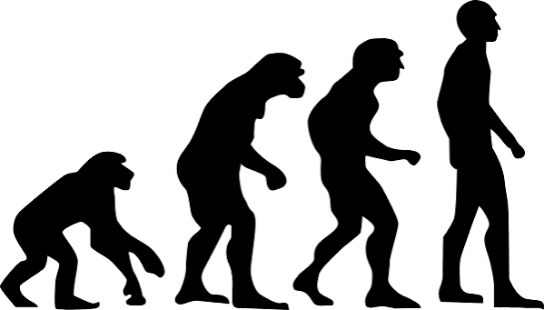Chapter 14 - Evolution