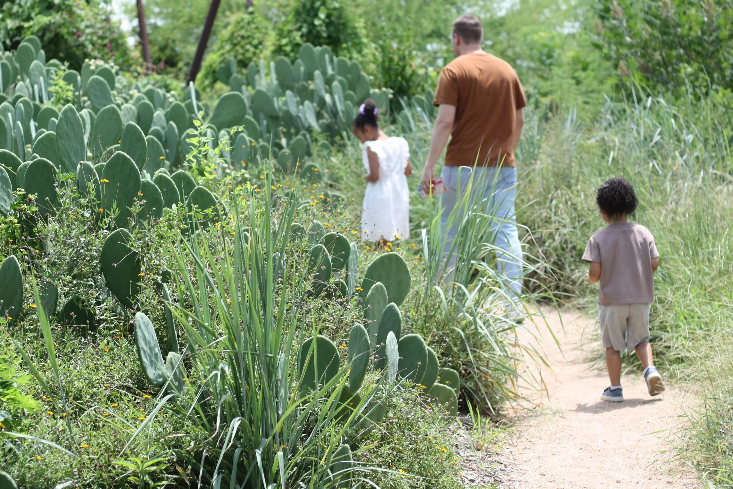 San Antonio Botanical Garden