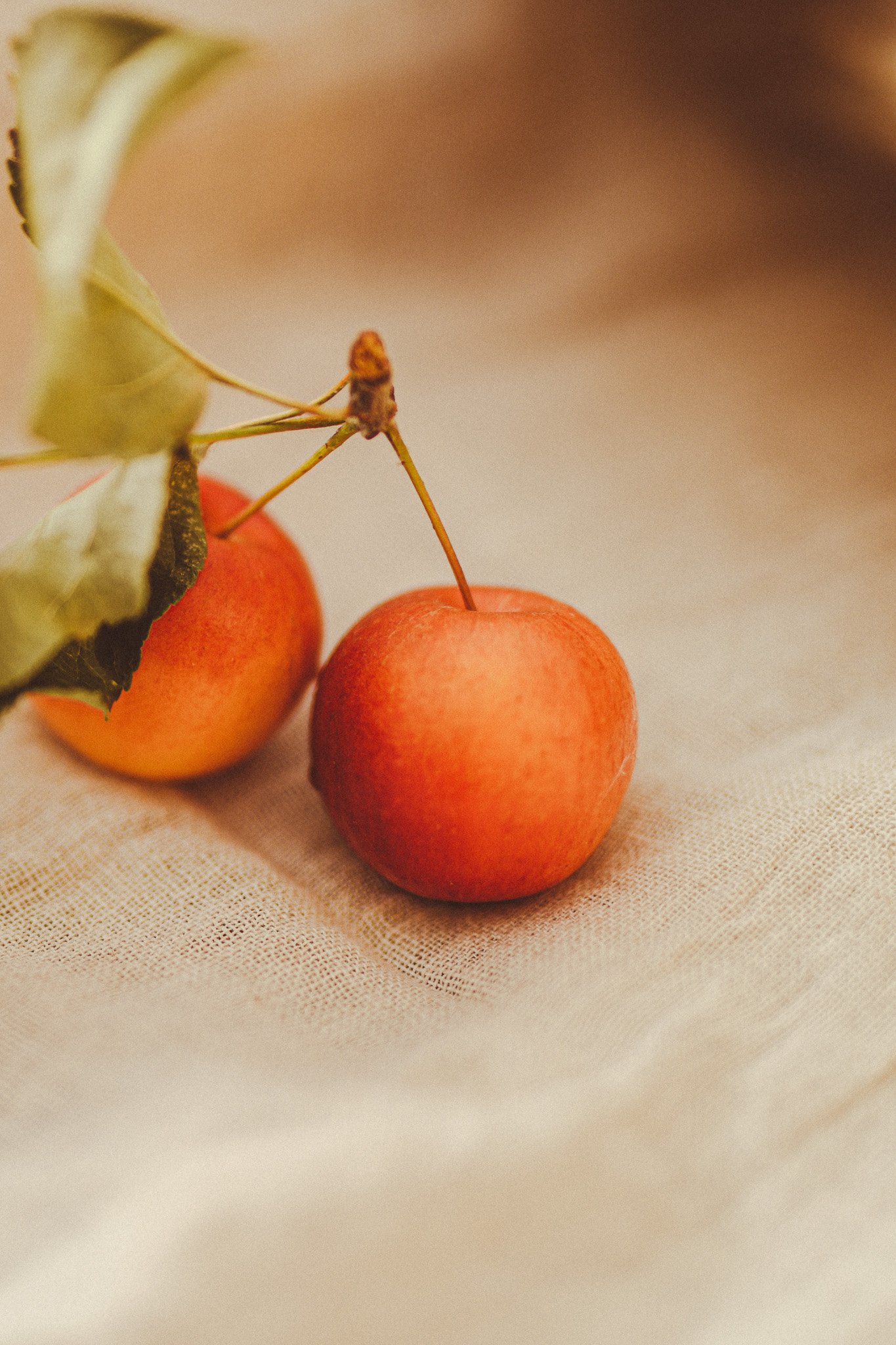 Close-up of a small orange fruit with a green leafy stem attached, resting on a white fabric surface.