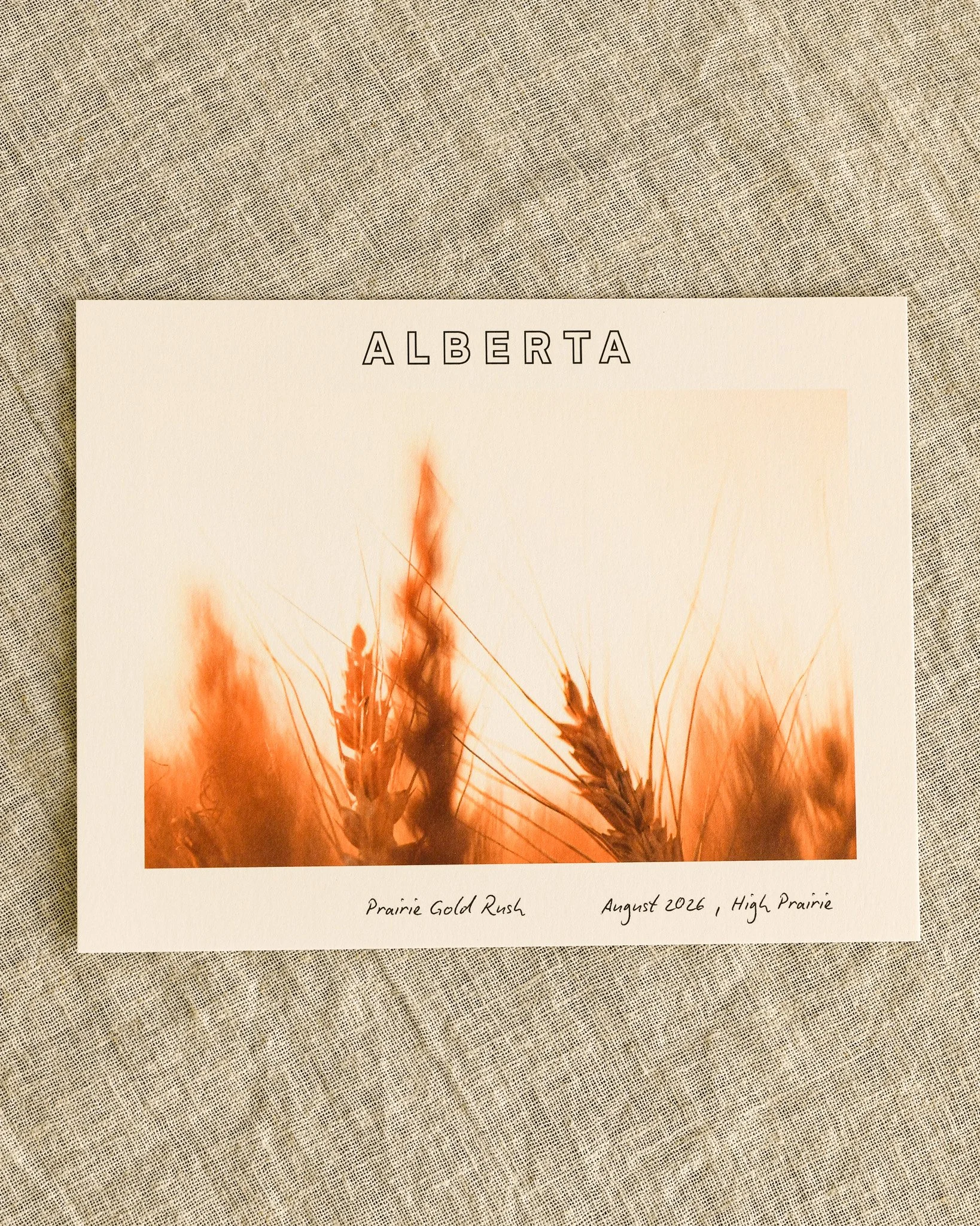 Prairie Gold Rush - Postcard
