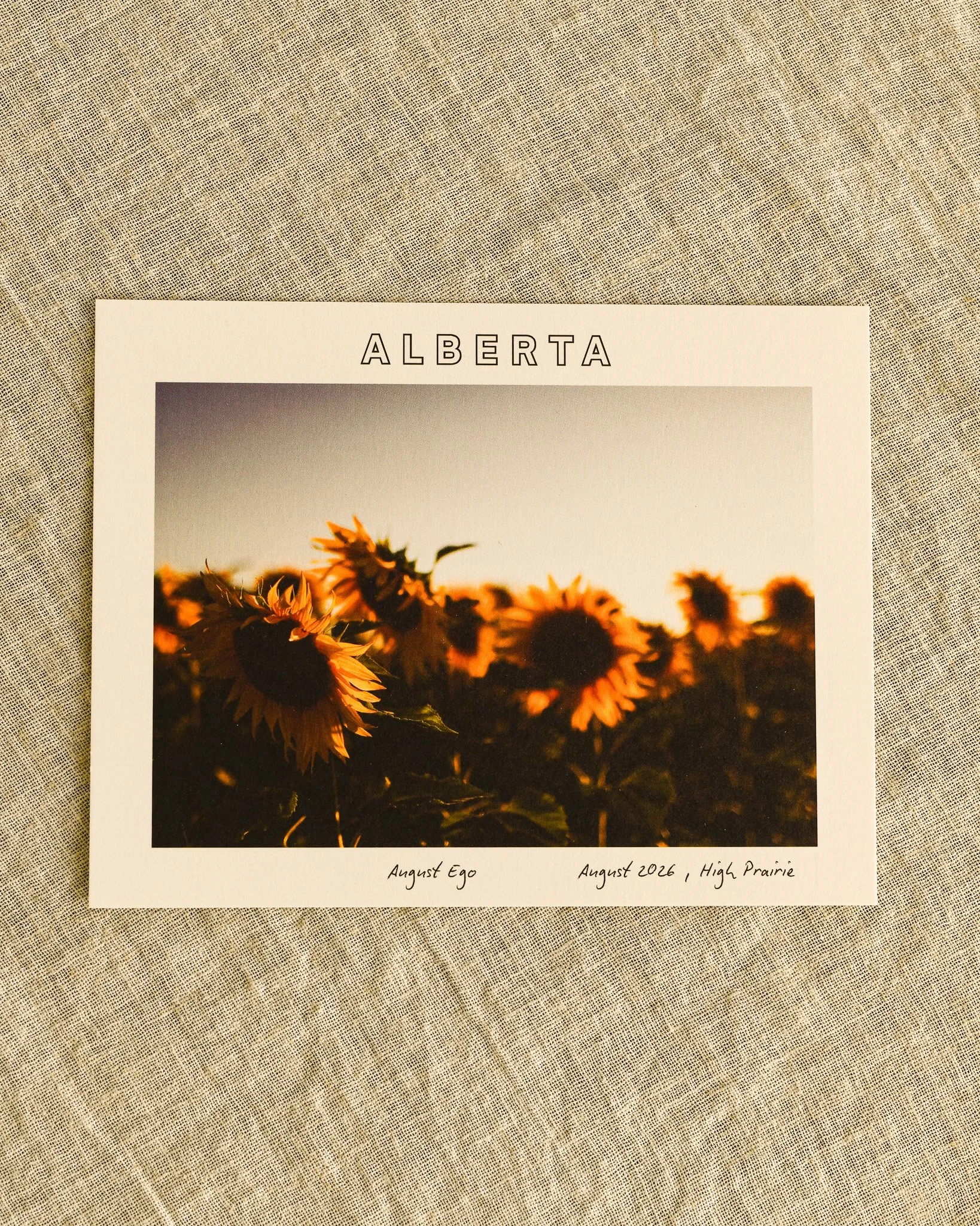 August Ego - Postcard