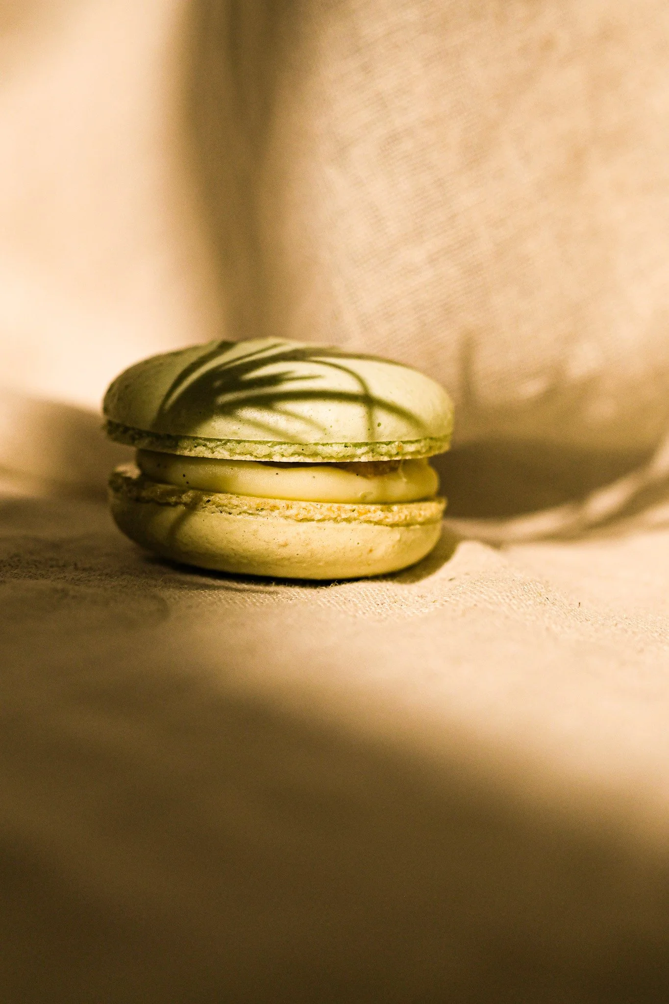 Close-up of a green and white macaron with shadow of a leaf on top, placed on a beige surface with a soft background.