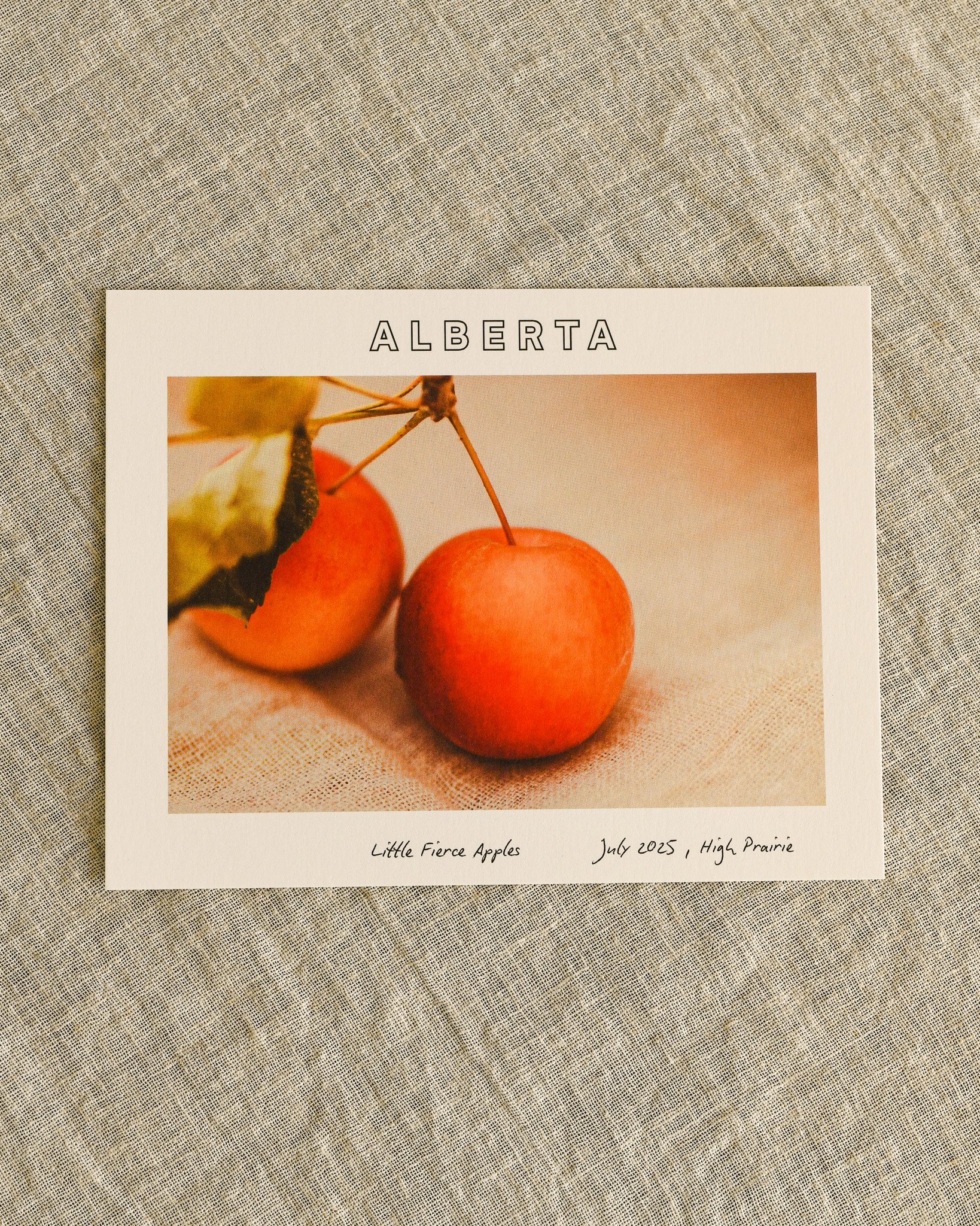 Fierce Little Apples - Postcard
