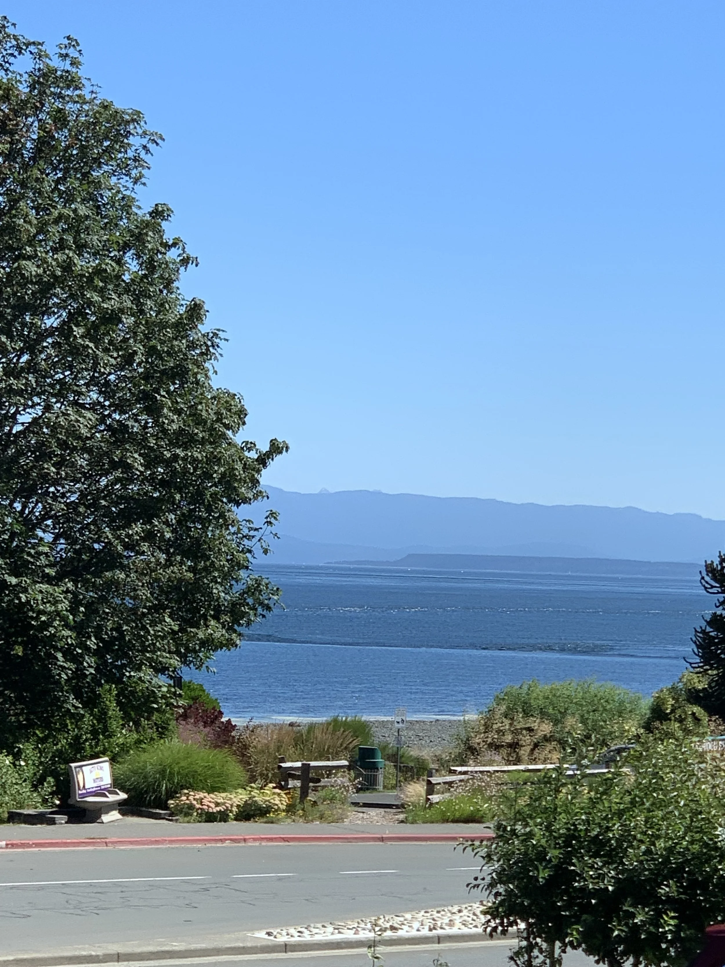 View of a body of water with mountains in the background, trees and shrubs in foreground, park bench and sign on pathway.