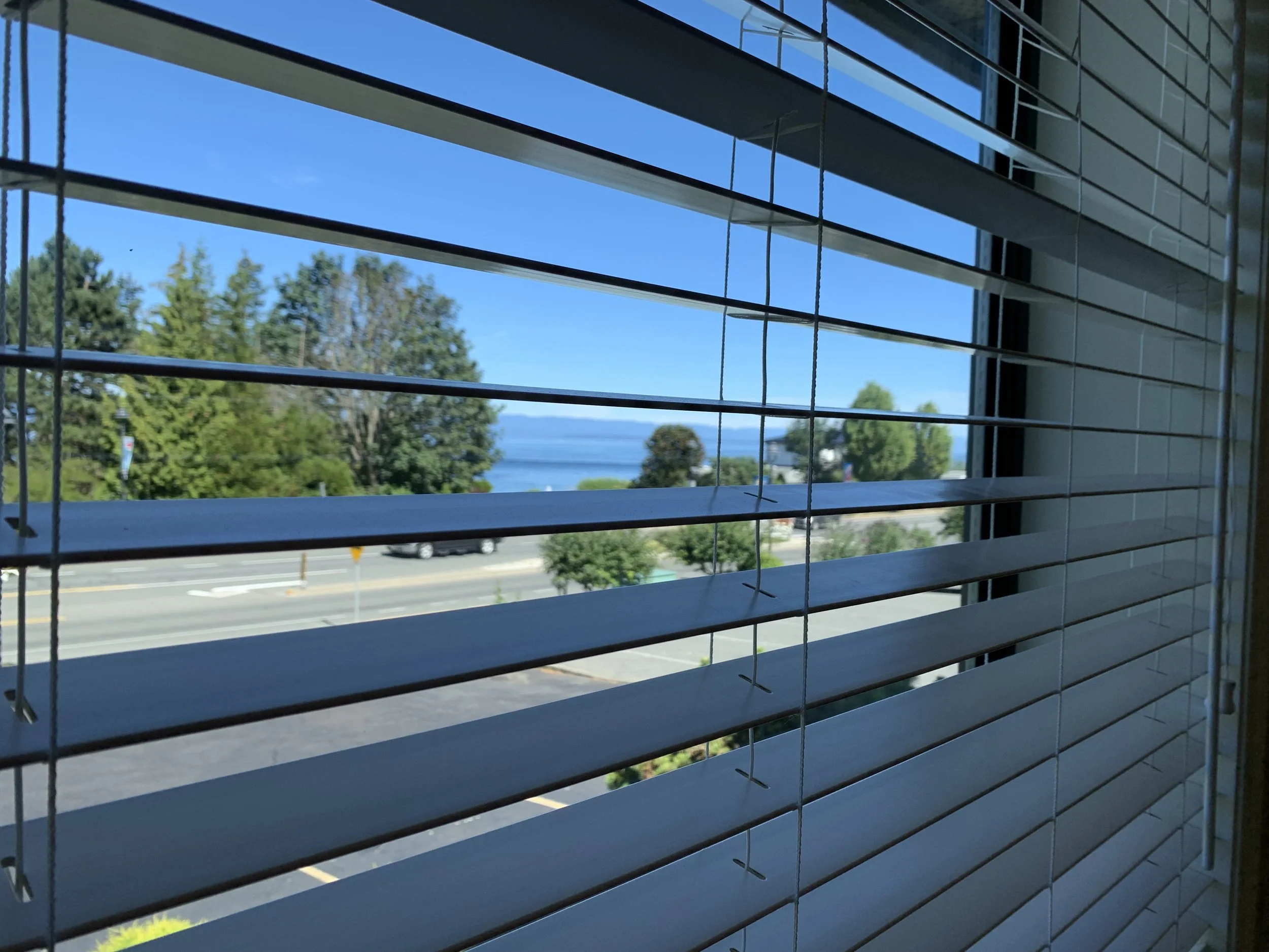 View through window blinds shows a clear blue sky, trees, a waterfront, and a road with a car passing.