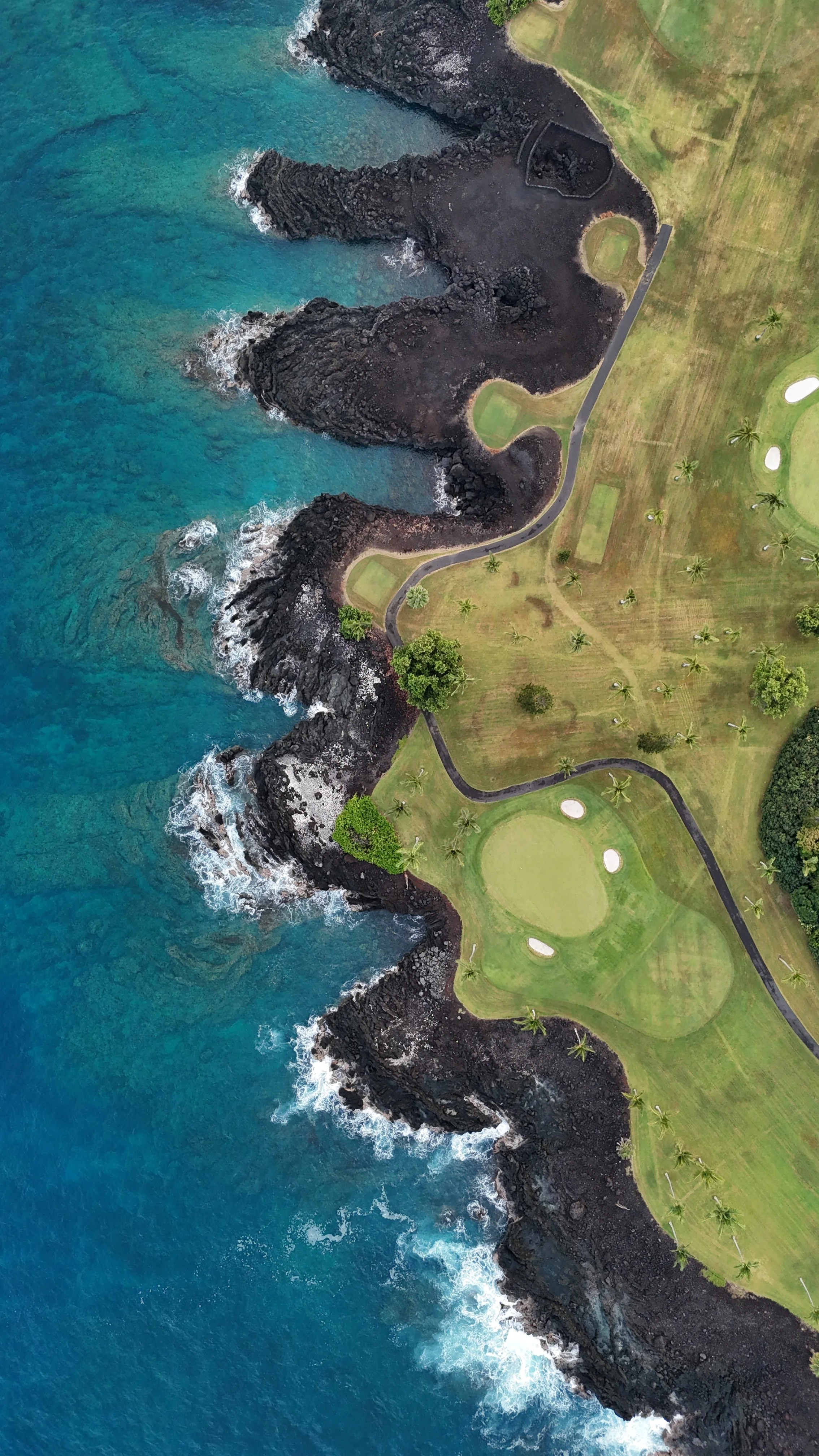 DJI_20250626105323_0741_D.JPG