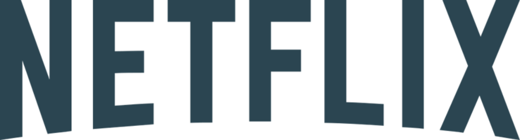 Text reading 'NETFLIX' in large, bold letters.