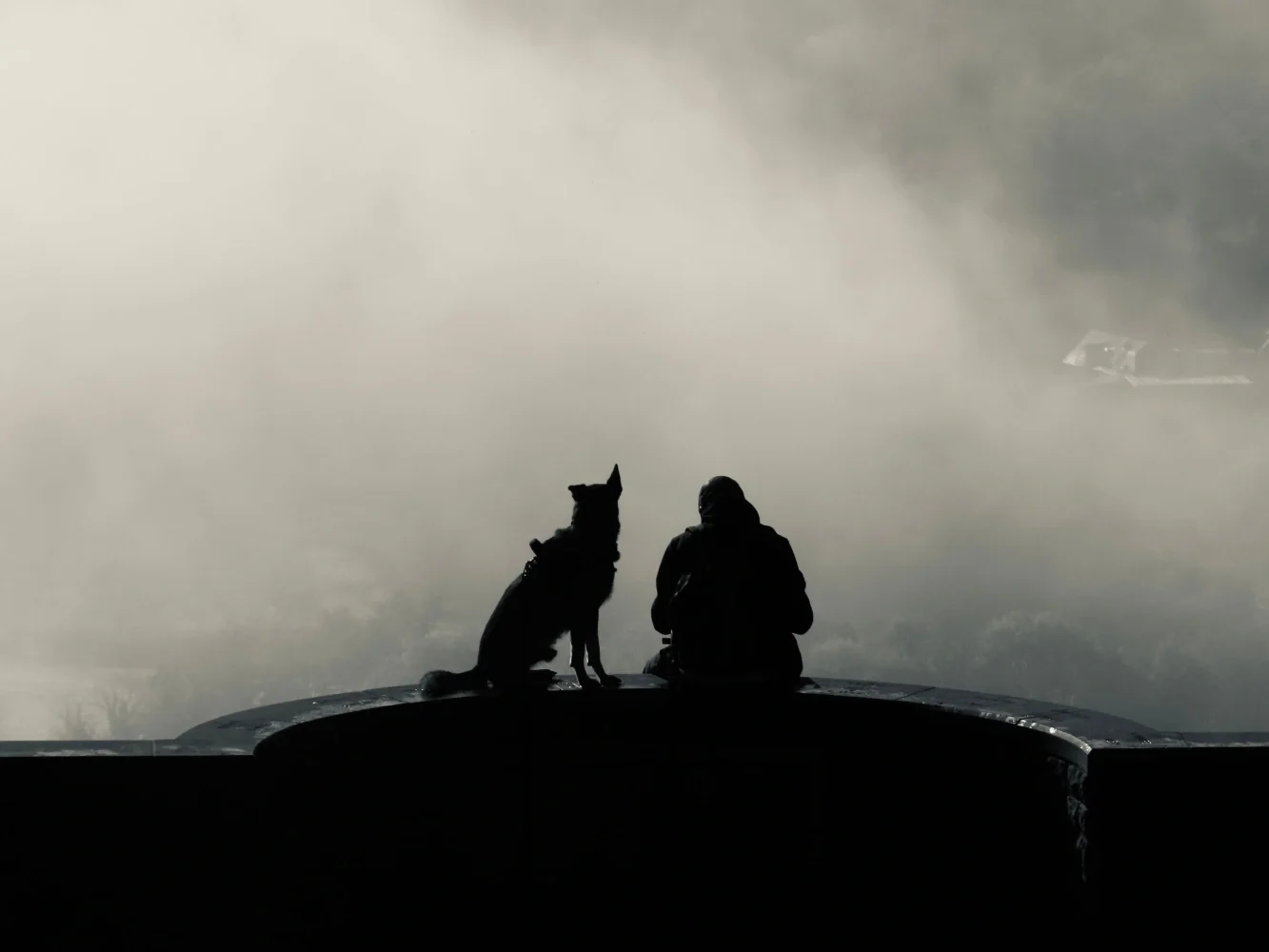 Silhouetted person sitting beside a dog on a curved overlook platform above a foggy landscape