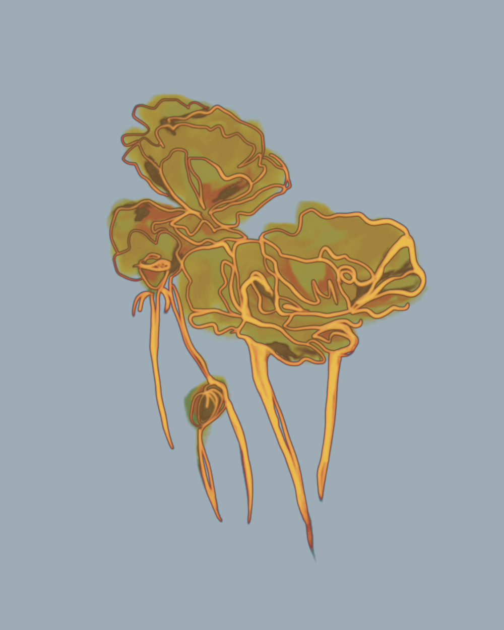 lateflowers (1).png