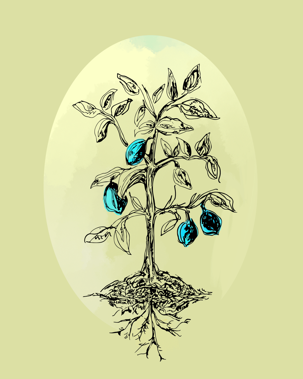 lemontree.png