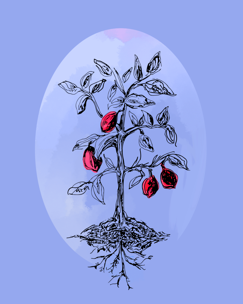 i prefer my lemons red