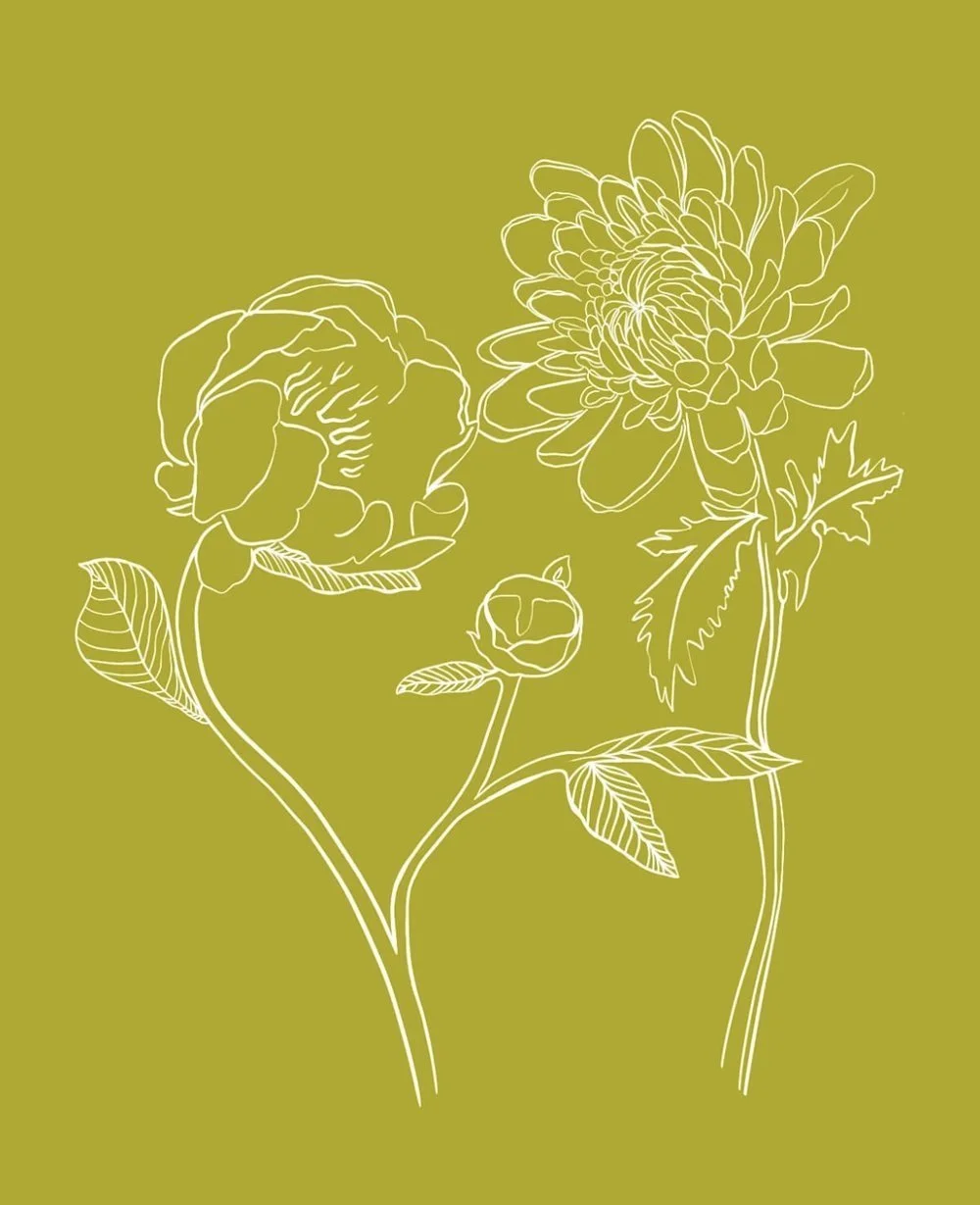 florals-illo (1).jpeg