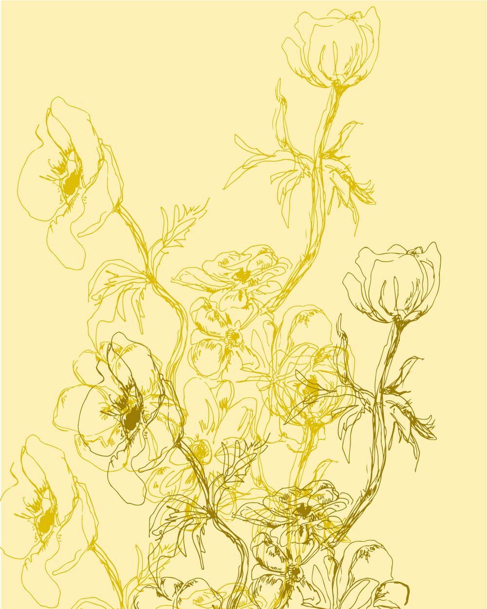 Illustrations