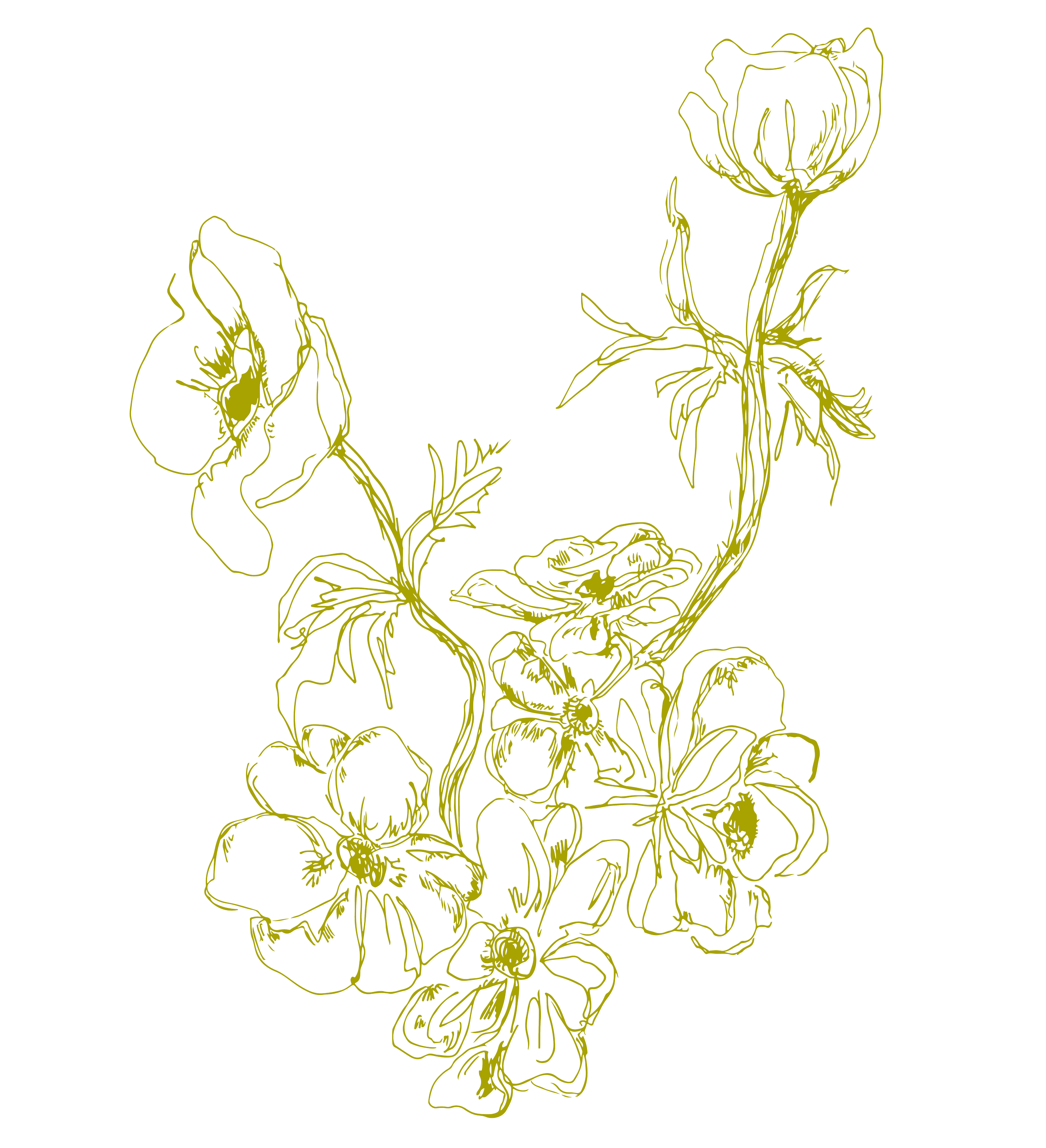 Blooming