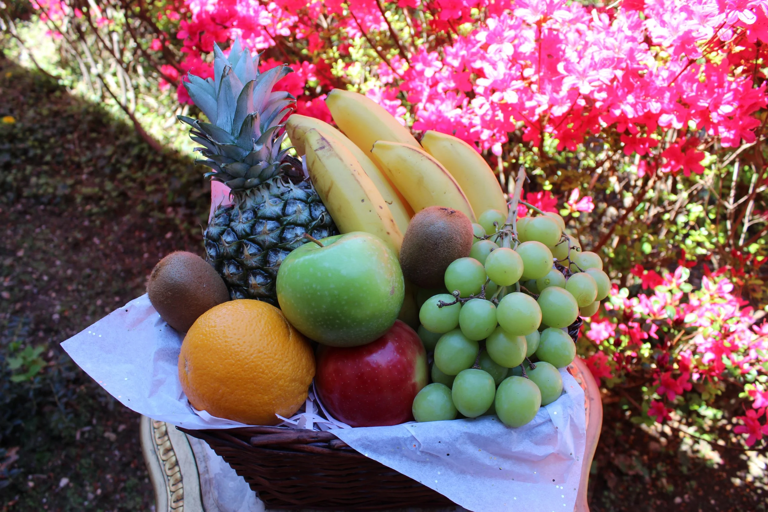 Seasonal Fresh Fruit Basket