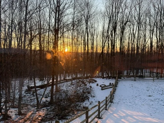 Sunset over a winter landscape with leafless trees, snow-covered ground, and a wooden fence.