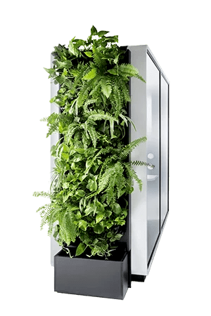 Green-Walls-2.png,