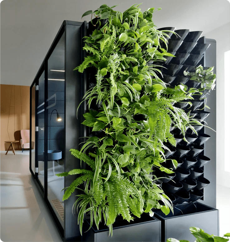 Green-Walls-3.png,