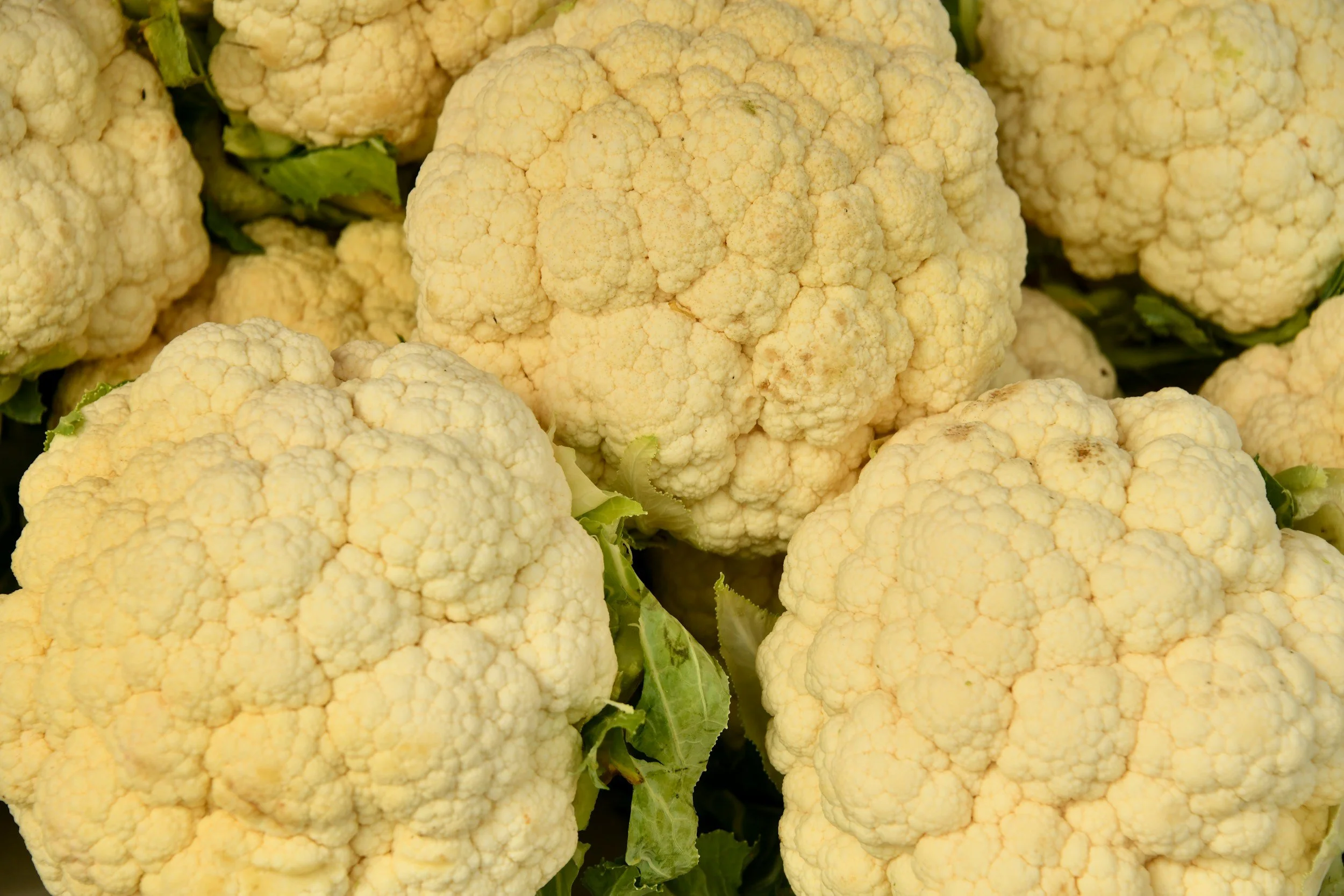 Cherished Cauliflower Soup