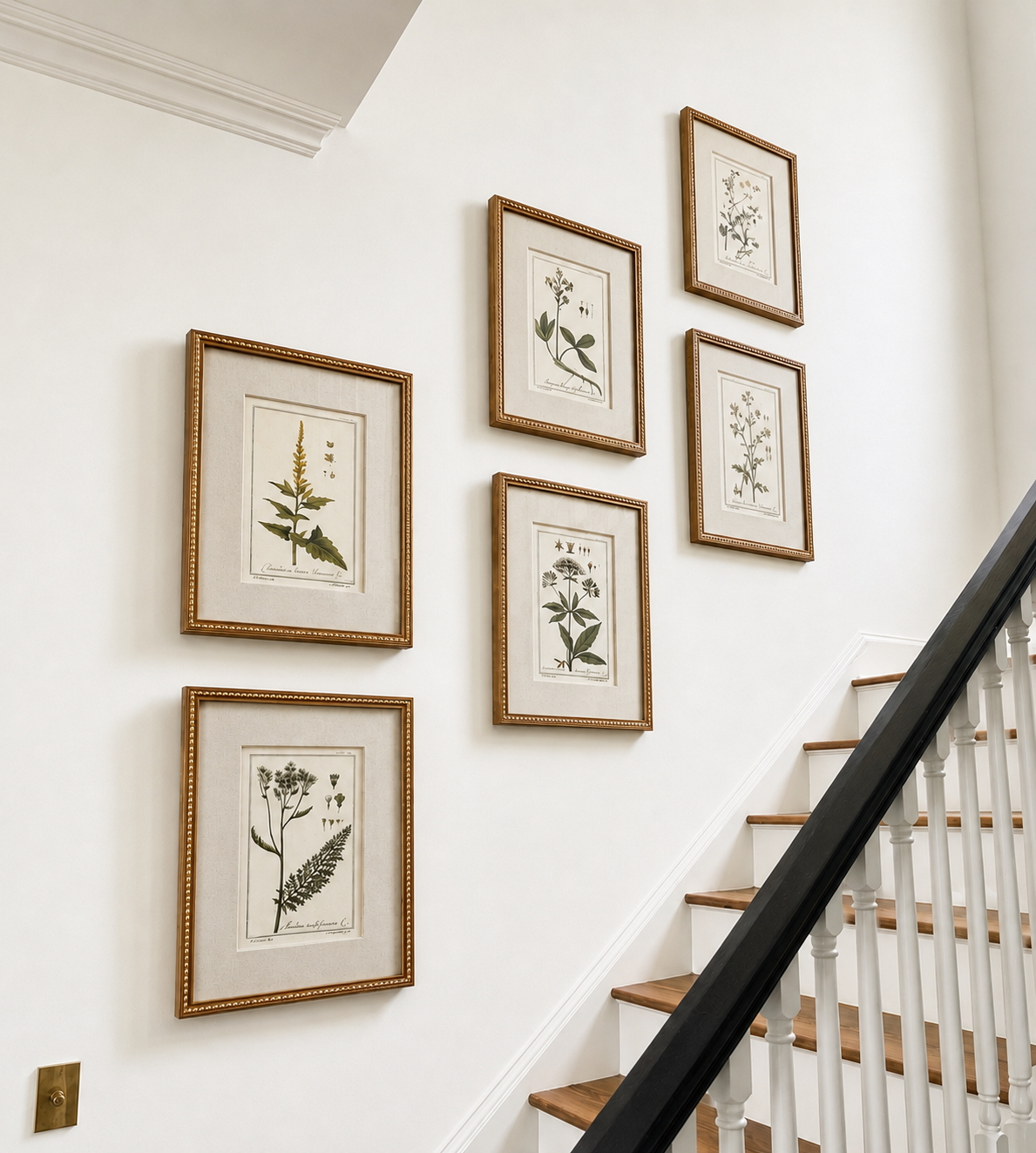 Charleston Hangups Staircase Picture Gallery.png