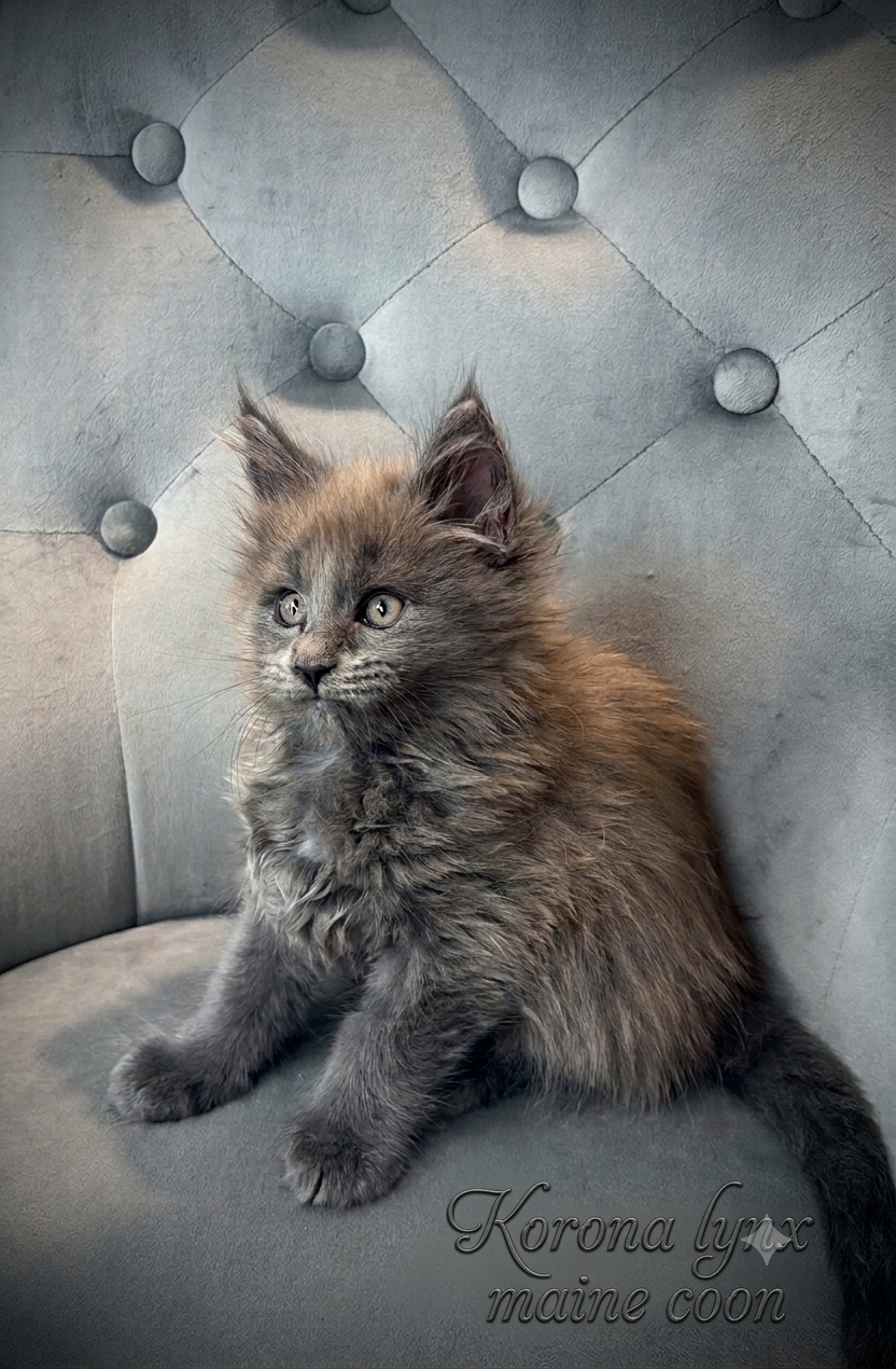 Last years litter