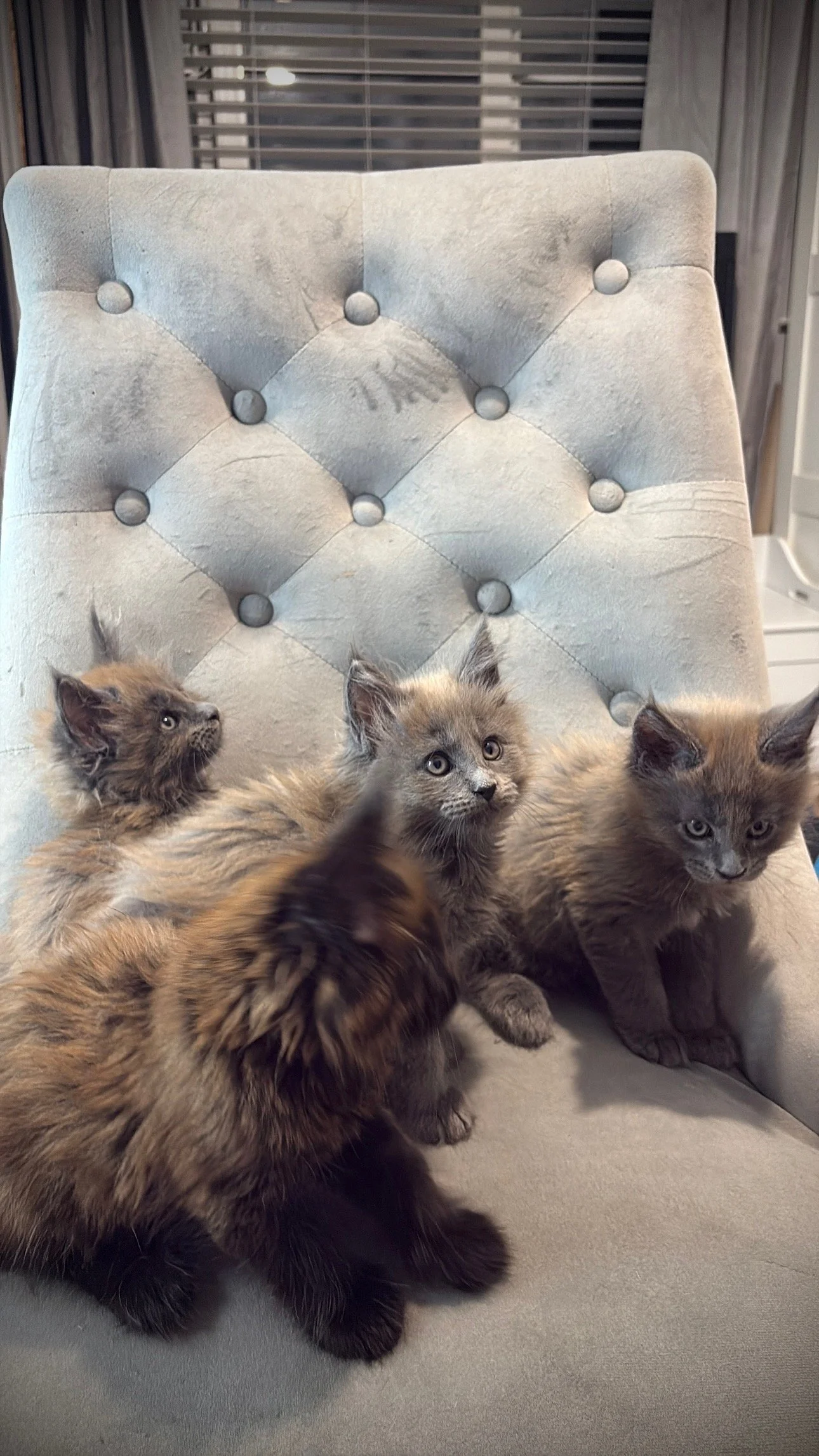 Last years litter