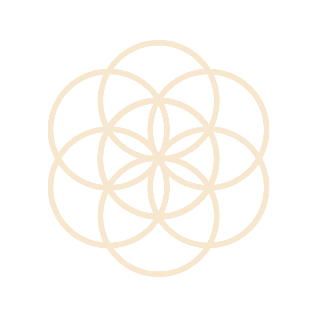A geometric design made of interconnected circles forming a symmetrical pattern on a black background.