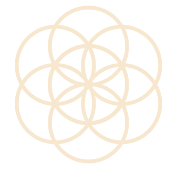 A geometric pattern of interconnected overlapping circles forming a symmetrical floral design.