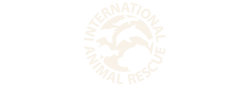 International Animal Rescue
