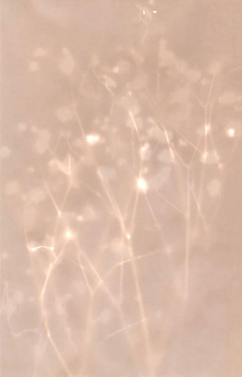 Sun Print © 2026 Helene-27.jpg