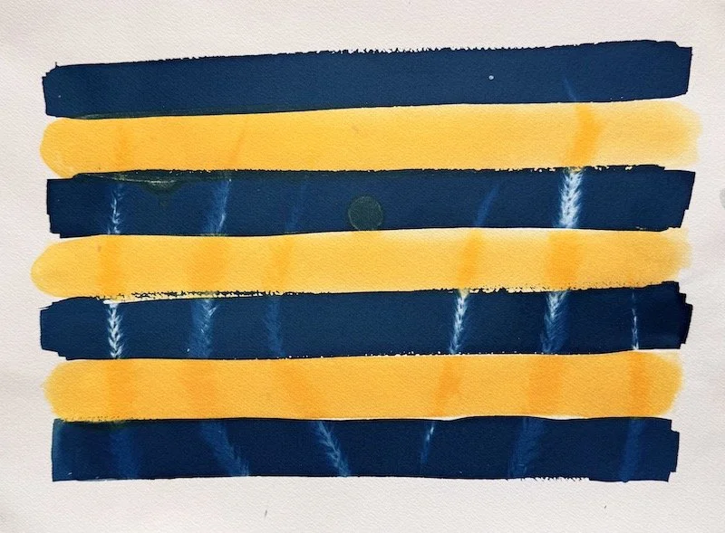 Anthotype © 2026 Helene-20.jpeg