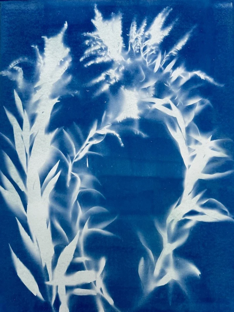 Cyanotype © 2026 Helene-24.jpeg