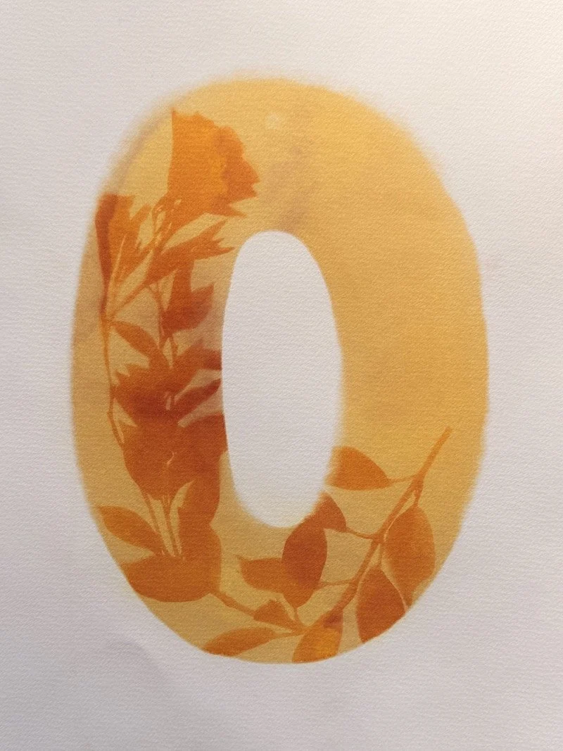 Anthotype © 2026 Helene-14.jpeg