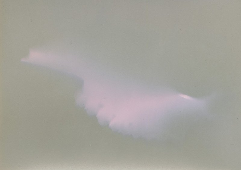 Sun Print © 2026 Helene-30.jpg