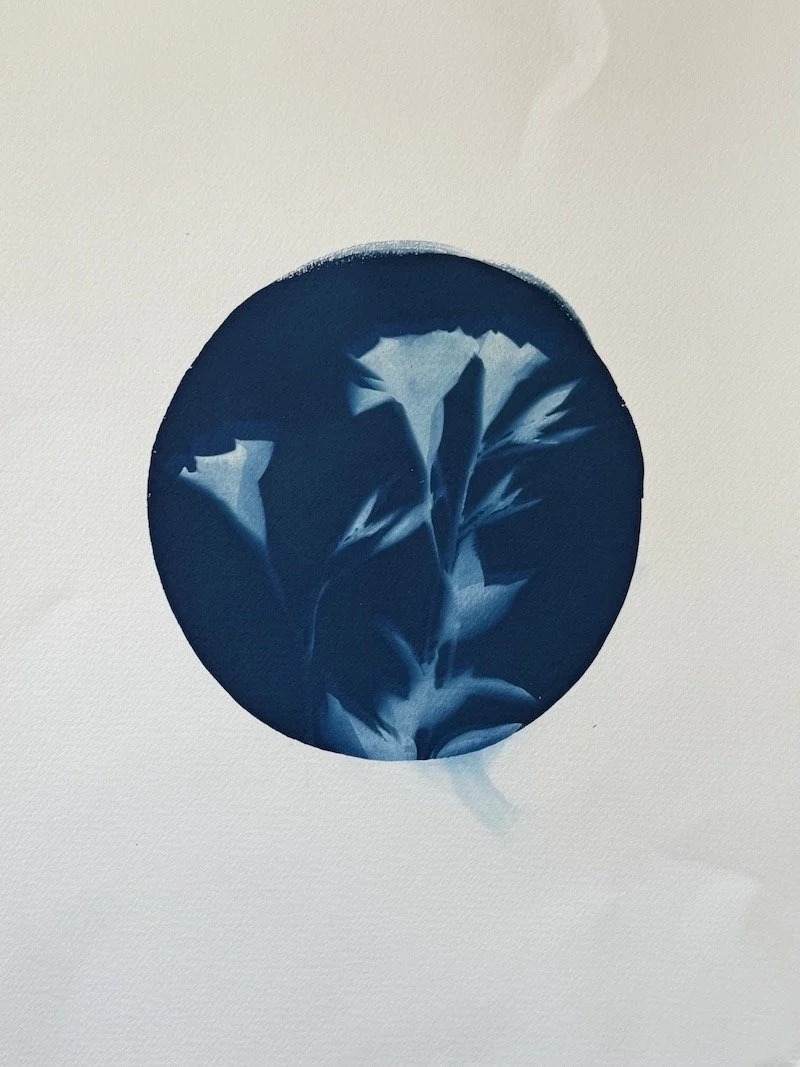 Anthotype © 2026 Helene-13.jpeg