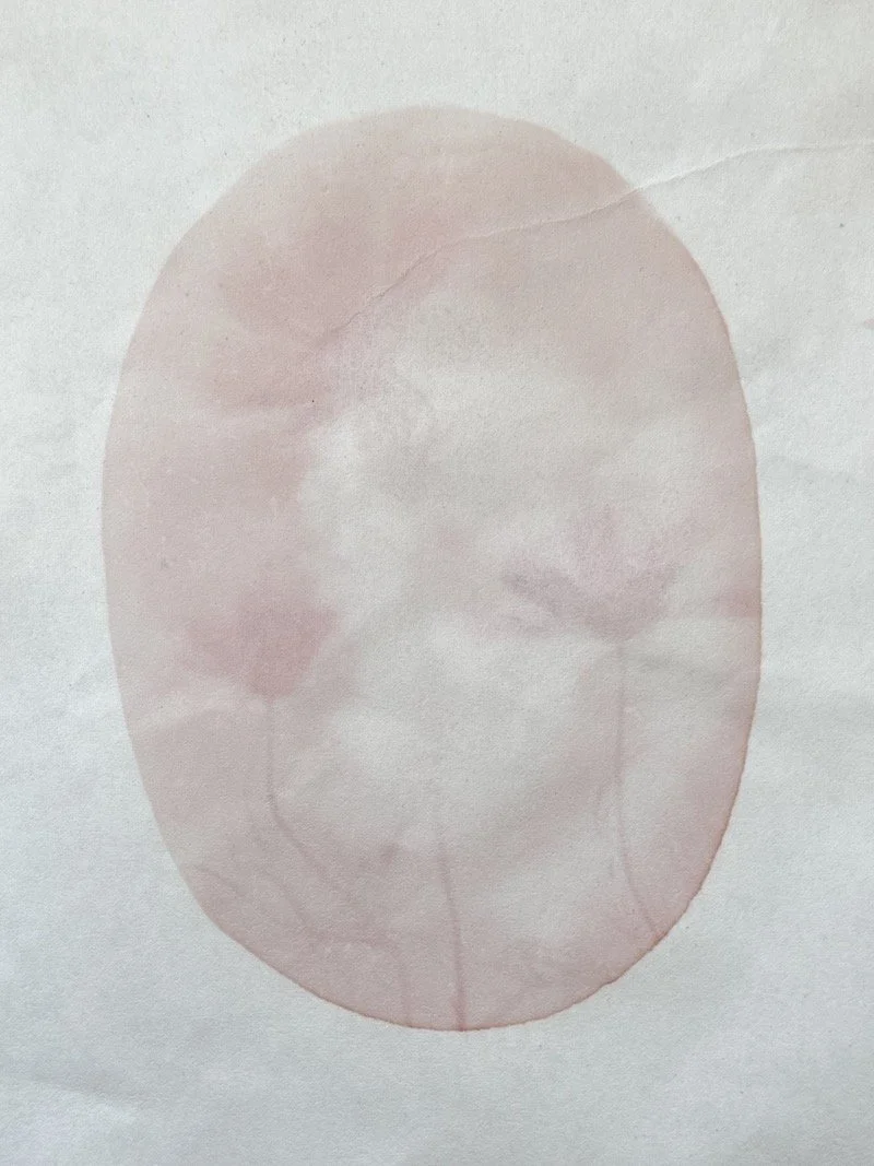 Anthotype © 2026 Helene-9.jpeg