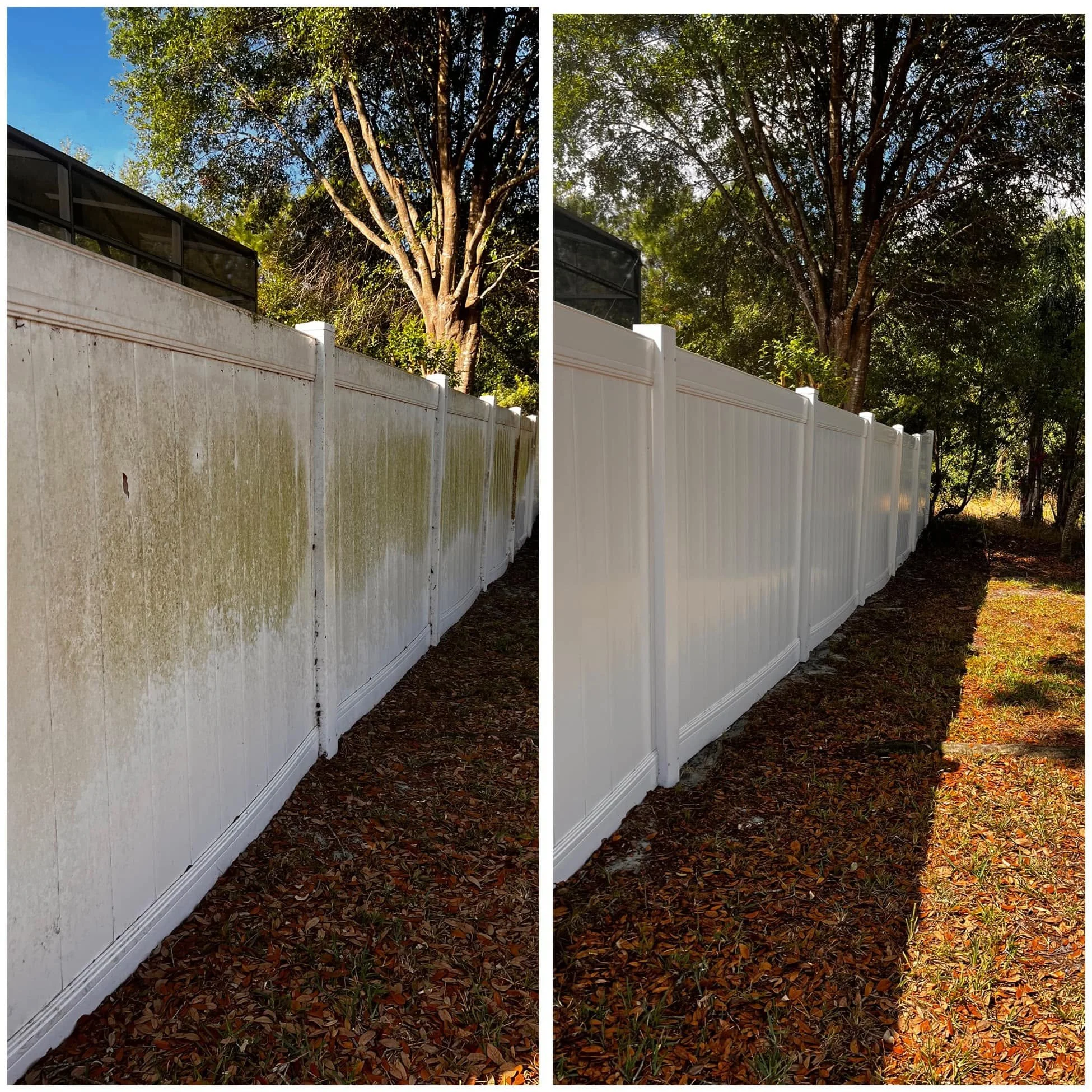 Fence Cleaning
