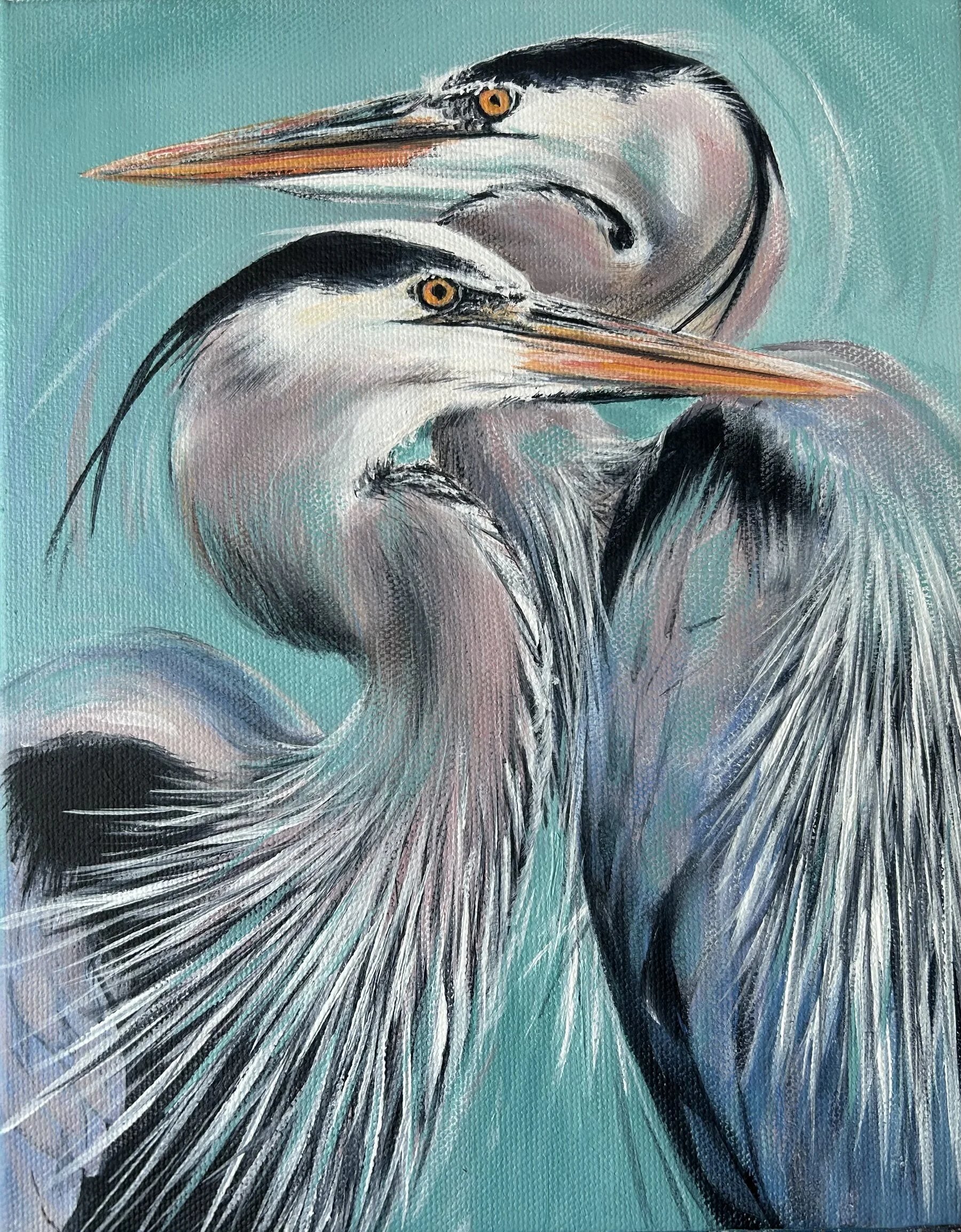 Herons .jpg