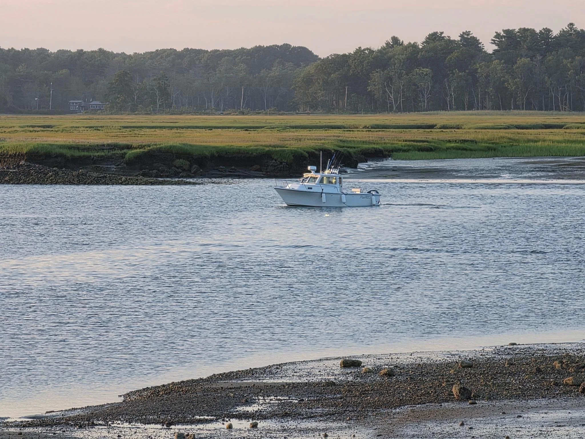 A boat on calm water with grassy and rocky shoreline in the foreground, and a treeline with houses in the background, under a clear sky.