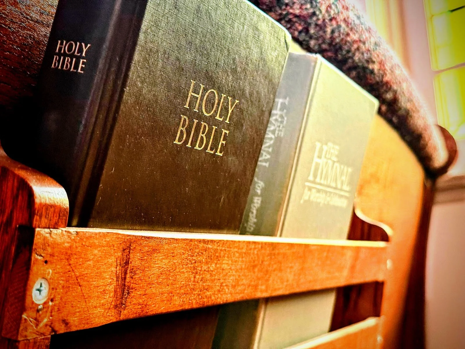 A row of Bibles on a wooden shelf, with the first one titled 'Holy Bible' in gold lettering on a black spine.