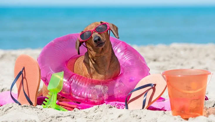 Take a Vacation!