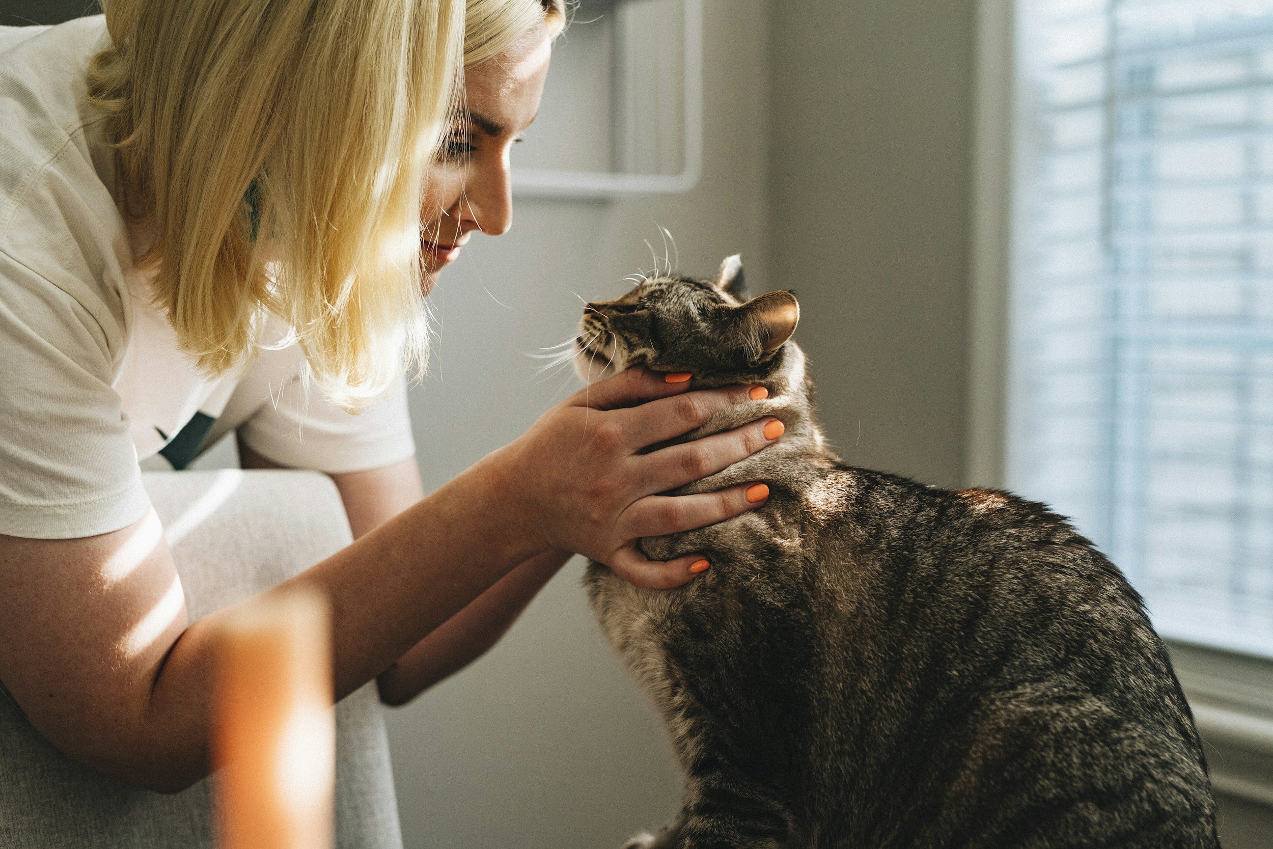 A woman with blonde hair holding a tabby cat close to her face indoors near a window with blinds.