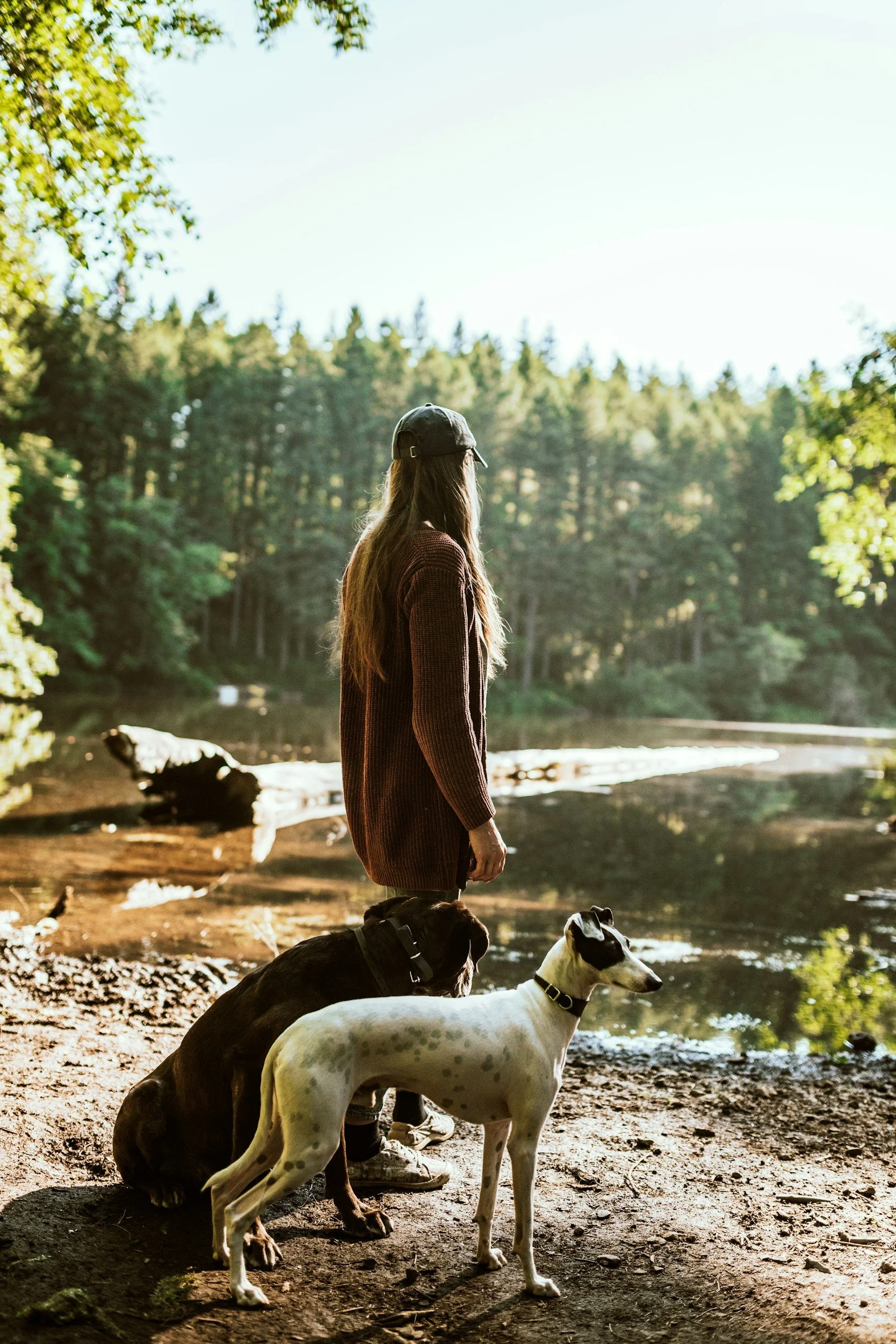 A woman with long hair wearing a dark baseball cap and a brown sweater stands near a river with two dogs, one black and white, and one white with spots, surrounded by trees and nature.