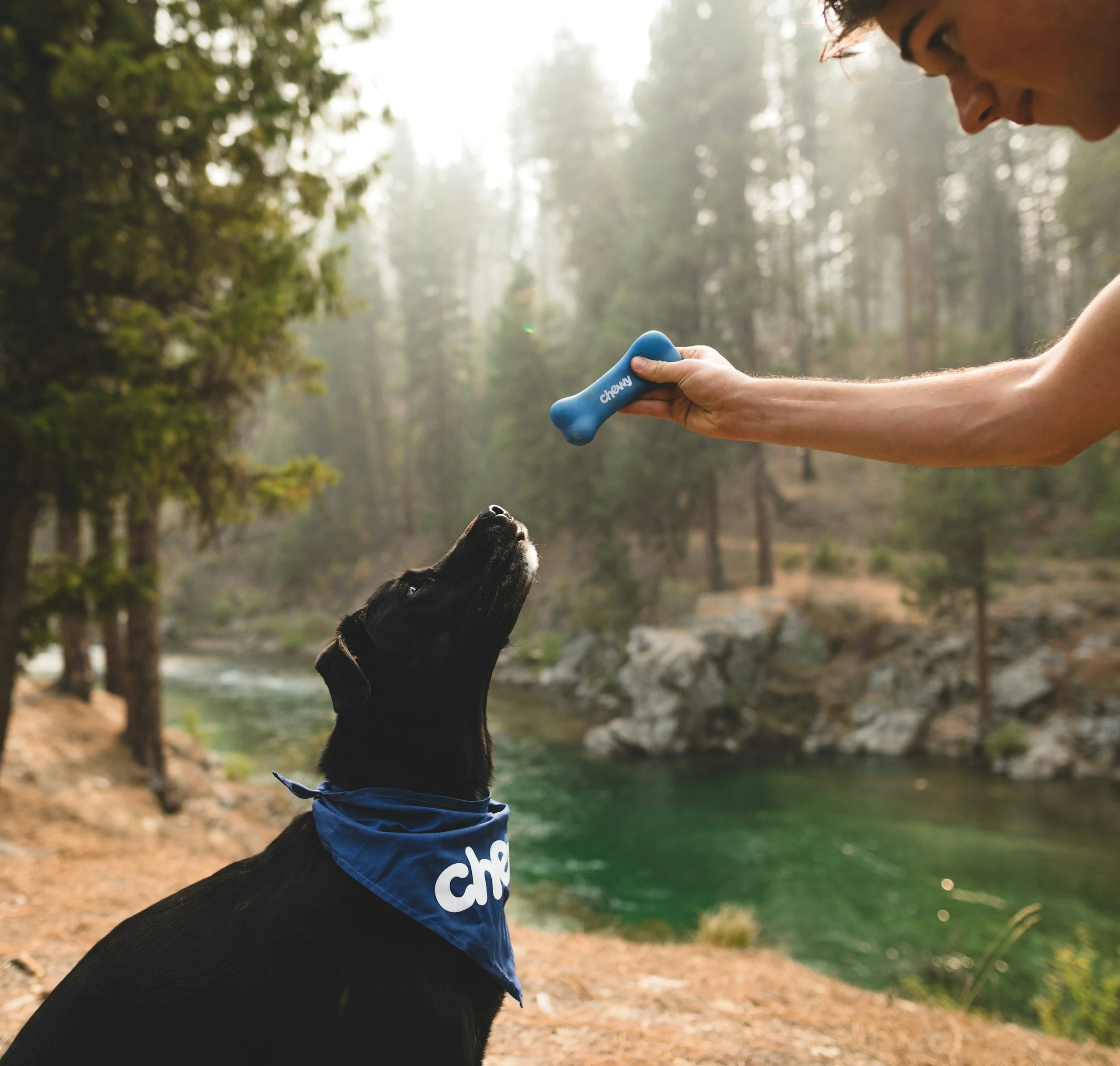 A person hugging a black dog outdoors in a forested area during daytime. The person is holding a blue toy labeled 'ch...' and is wearing a blue bandana. The dog is looking up at the person, and the background shows trees and a body of water.